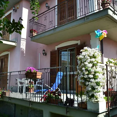 Le Rose